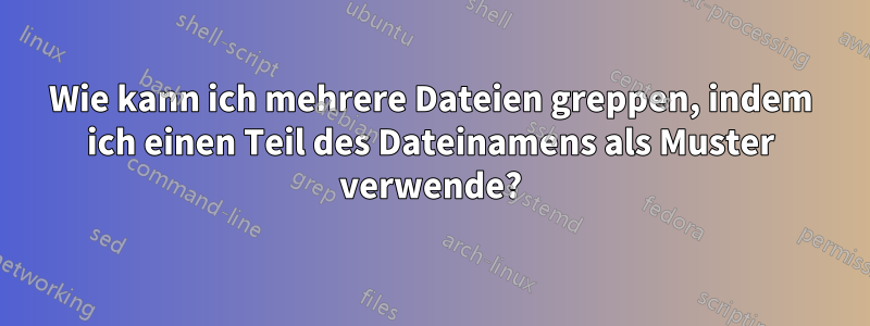 Wie kann ich mehrere Dateien greppen, indem ich einen Teil des Dateinamens als Muster verwende?