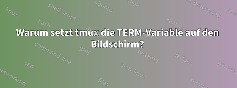 Warum setzt tmux die TERM-Variable auf den Bildschirm?