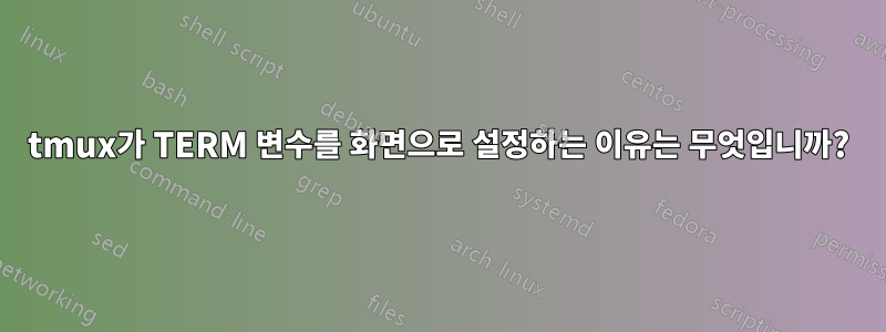 tmux가 TERM 변수를 화면으로 설정하는 이유는 무엇입니까?