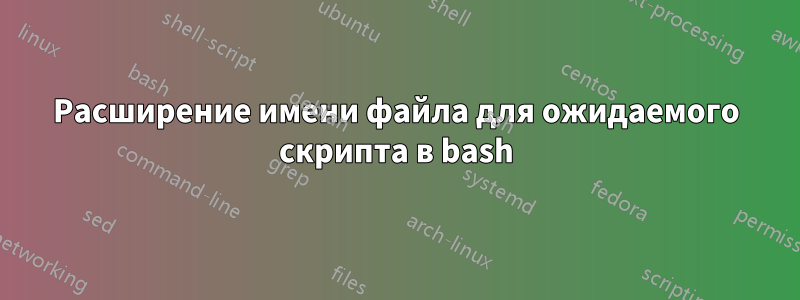 Расширение имени файла для ожидаемого скрипта в bash