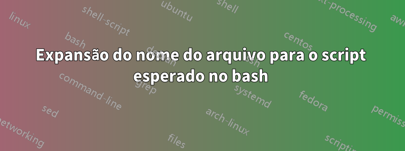 Expansão do nome do arquivo para o script esperado no bash