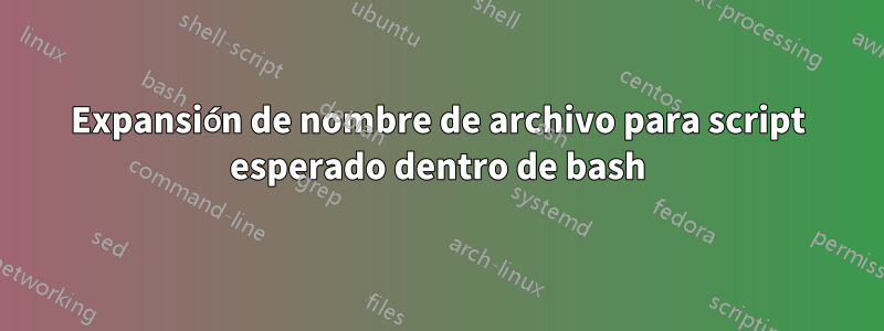 Expansión de nombre de archivo para script esperado dentro de bash