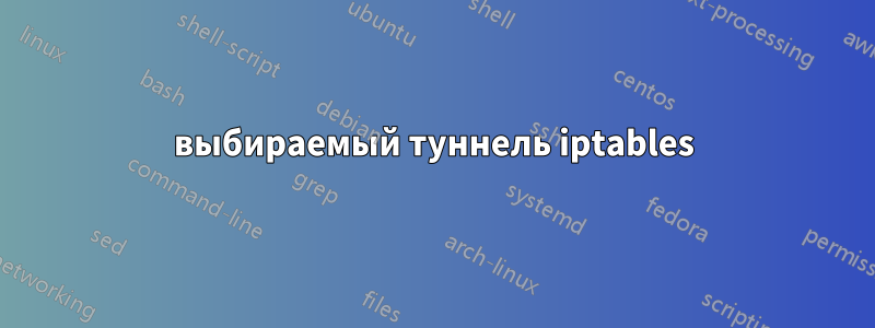 выбираемый туннель iptables