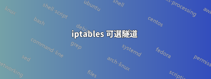 iptables 可選隧道