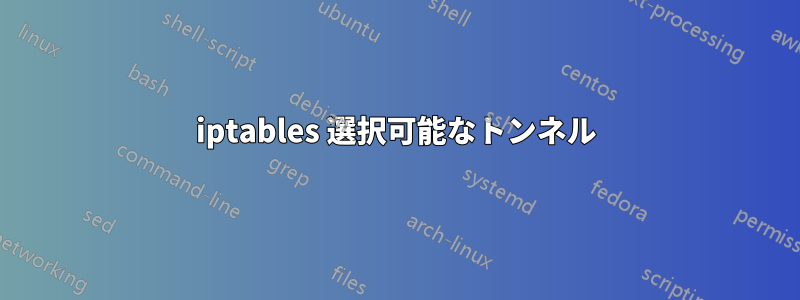 iptables 選択可能なトンネル