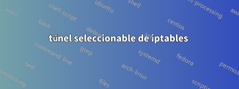 túnel seleccionable de iptables