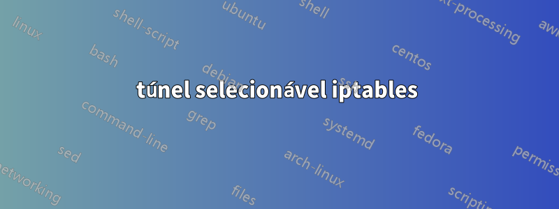 túnel selecionável iptables