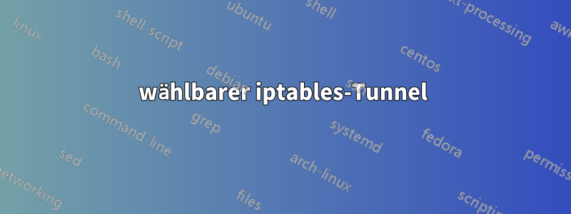 wählbarer iptables-Tunnel