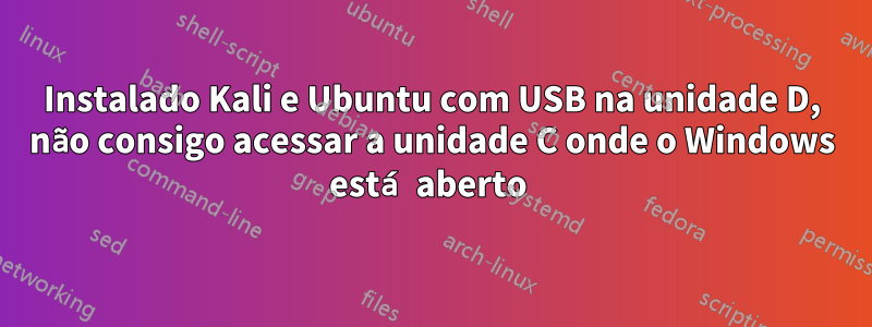 Instalado Kali e Ubuntu com USB na unidade D, não consigo acessar a unidade C onde o Windows está aberto 