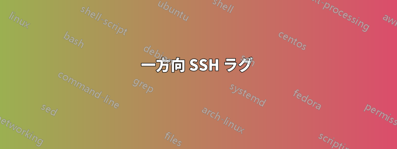 一方向 SSH ラグ