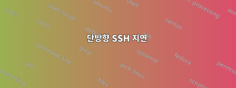 단방향 SSH 지연