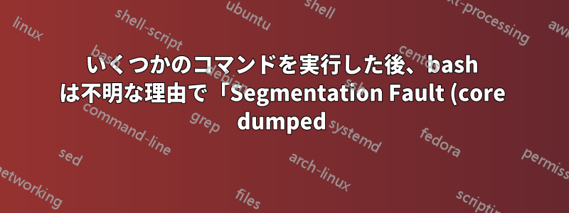 いくつかのコマンドを実行した後、bash は不明な理由で「Segmentation Fault (core dumped)」と出力します。
