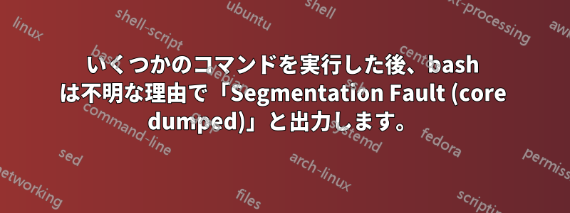 いくつかのコマンドを実行した後、bash は不明な理由で「Segmentation Fault (core dumped)」と出力します。