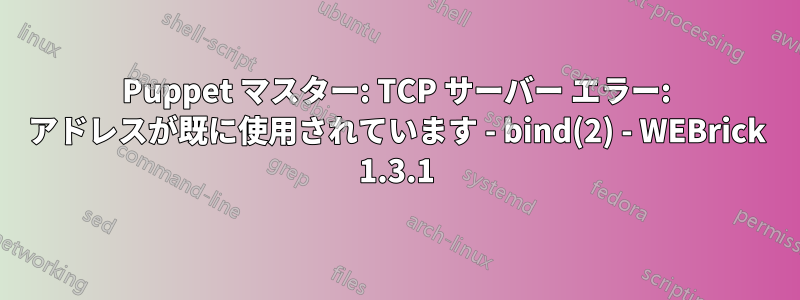 Puppet マスター: TCP サーバー エラー: アドレスが既に使用されています - bind(2) - WEBrick 1.3.1