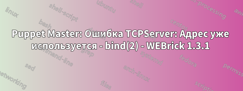 Puppet Master: Ошибка TCPServer: Адрес уже используется - bind(2) - WEBrick 1.3.1