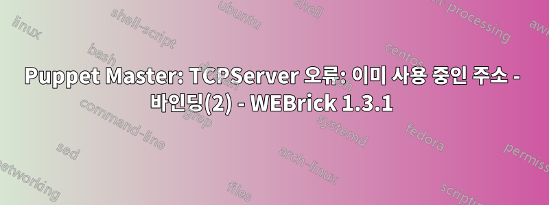 Puppet Master: TCPServer 오류: 이미 사용 중인 주소 - 바인딩(2) - WEBrick 1.3.1