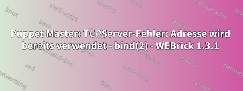 Puppet Master: TCPServer-Fehler: Adresse wird bereits verwendet - bind(2) - WEBrick 1.3.1