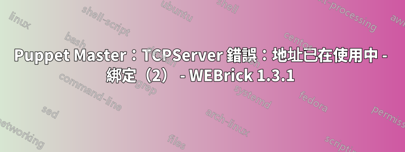 Puppet Master：TCPServer 錯誤：地址已在使用中 - 綁定（2） - WEBrick 1.3.1