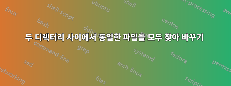 두 디렉터리 사이에서 동일한 파일을 모두 찾아 바꾸기