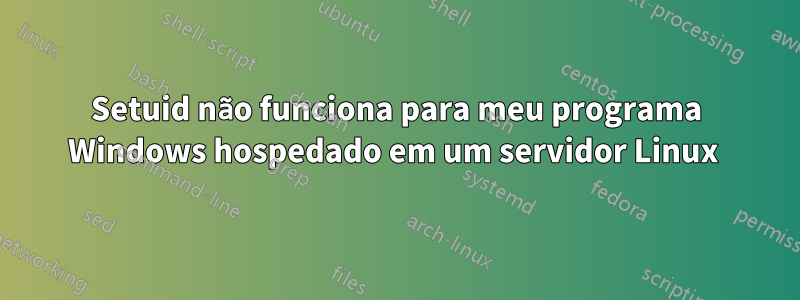 Setuid não funciona para meu programa Windows hospedado em um servidor Linux 