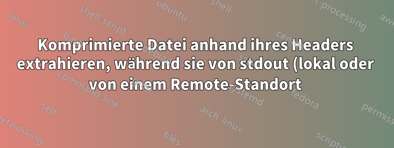 Komprimierte Datei anhand ihres Headers extrahieren, während sie von stdout (lokal oder von einem Remote-Standort) weitergeleitet wird?