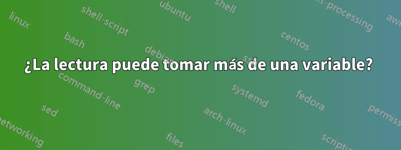 ¿La lectura puede tomar más de una variable?