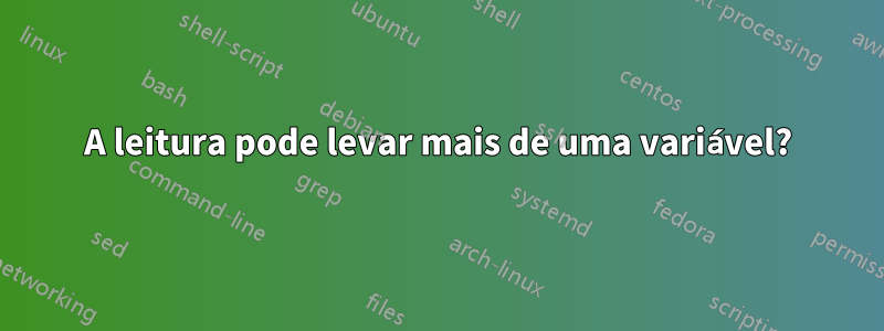 A leitura pode levar mais de uma variável?