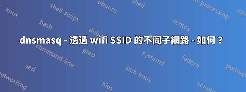 dnsmasq - 透過 wifi SSID 的不同子網路 - 如何？