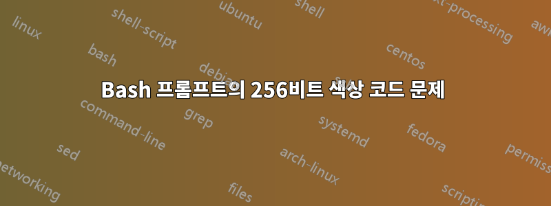 Bash 프롬프트의 256비트 색상 코드 문제