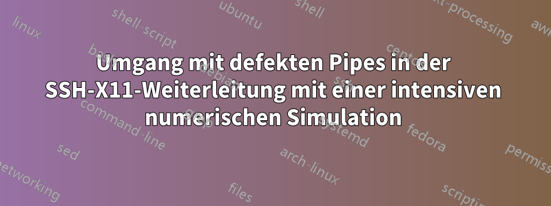 Umgang mit defekten Pipes in der SSH-X11-Weiterleitung mit einer intensiven numerischen Simulation