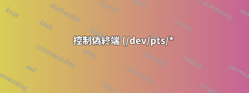 控制偽終端 (/dev/pts/*) 分配
