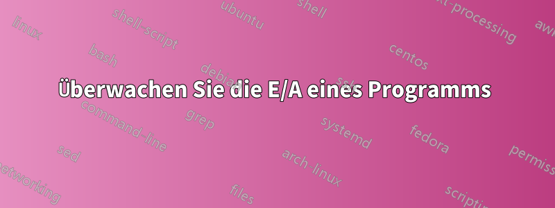 Überwachen Sie die E/A eines Programms