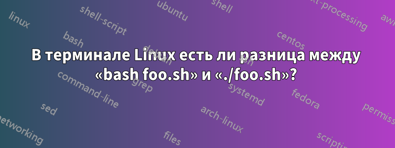 В терминале Linux есть ли разница между «bash foo.sh» и «./foo.sh»?