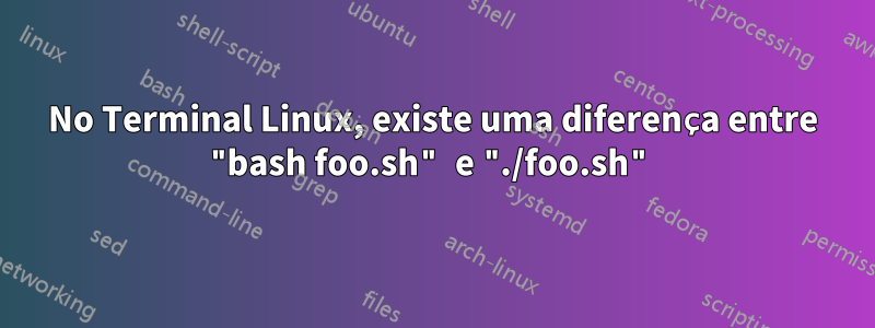 No Terminal Linux, existe uma diferença entre "bash foo.sh" e "./foo.sh"