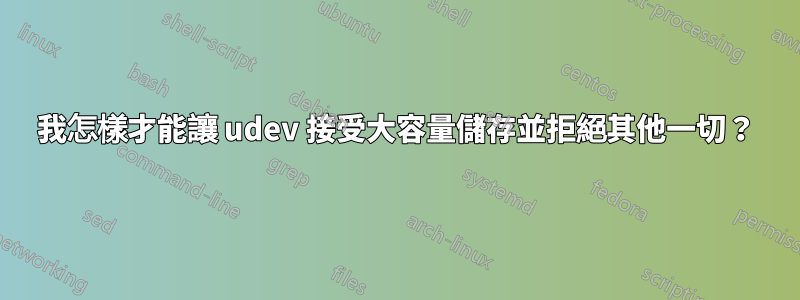 我怎樣才能讓 udev 接受大容量儲存並拒絕其他一切？