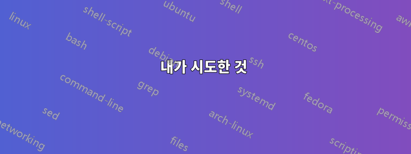 내가 시도한 것