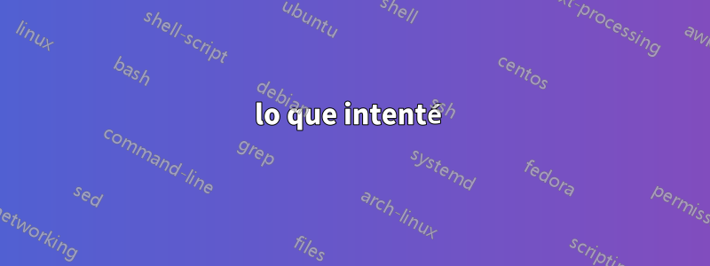 lo que intenté