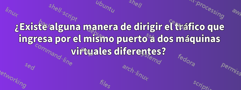 ¿Existe alguna manera de dirigir el tráfico que ingresa por el mismo puerto a dos máquinas virtuales diferentes? 