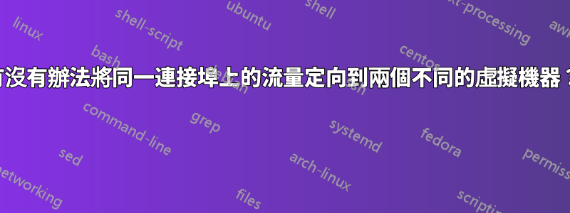 有沒有辦法將同一連接埠上的流量定向到兩個不同的虛擬機器？ 