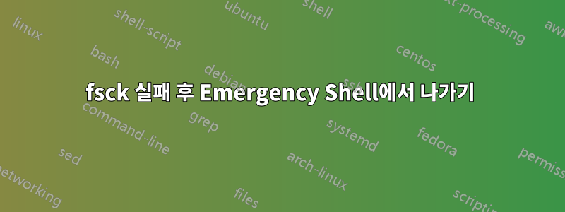 fsck 실패 후 Emergency Shell에서 나가기