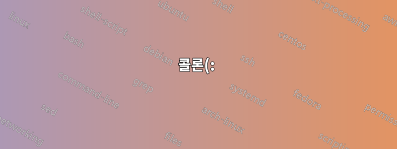 콜론(:)과 대시(-)가 포함된 bash 설정 변수(lftp에서 사용됨)