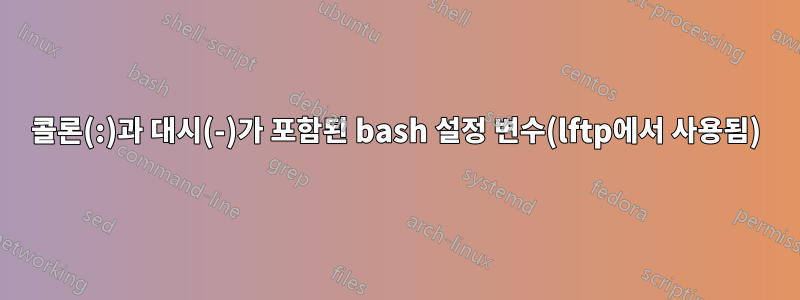 콜론(:)과 대시(-)가 포함된 bash 설정 변수(lftp에서 사용됨)