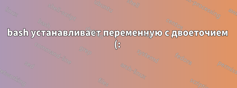 bash устанавливает переменную с двоеточием (:) и тире (-) внутри (как используется lftp)