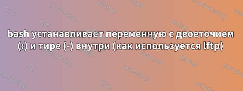 bash устанавливает переменную с двоеточием (:) и тире (-) внутри (как используется lftp)