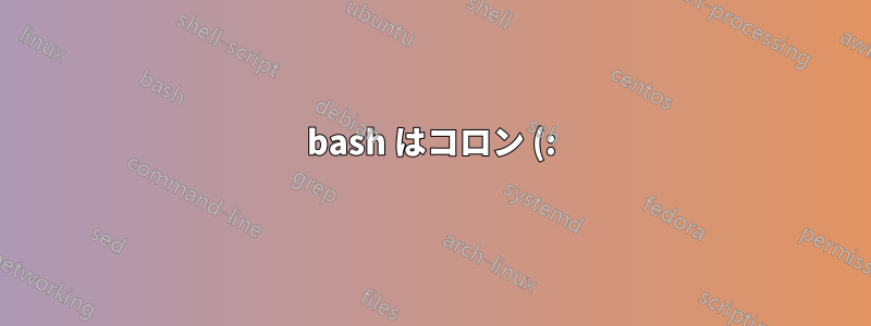bash はコロン (:) とダッシュ (-) を含む変数を設定します (lftp で使用されるものと同じ)