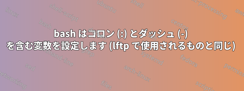 bash はコロン (:) とダッシュ (-) を含む変数を設定します (lftp で使用されるものと同じ)