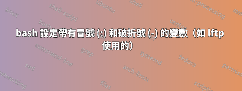 bash 設定帶有冒號 (:) 和破折號 (-) 的變數（如 lftp 使用的）