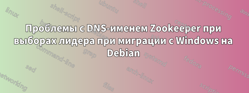 Проблемы с DNS-именем Zookeeper при выборах лидера при миграции с Windows на Debian