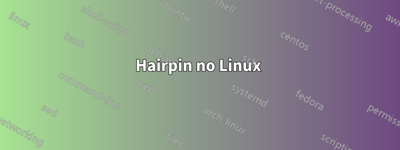 Hairpin no Linux