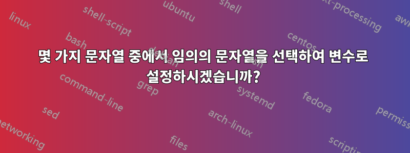 몇 가지 문자열 중에서 임의의 문자열을 선택하여 변수로 설정하시겠습니까?